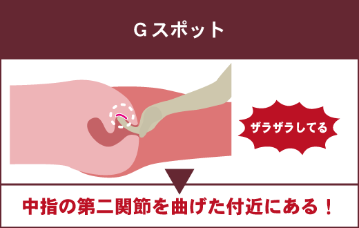 Gスポットは、膣内の第二関節を曲げた付近にある性感帯です。