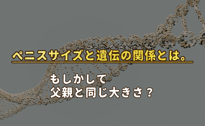 ペニスサイズと遺伝の関係とは もしかして父親と同じ大きさ Volstanish