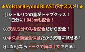 ヴォルスタービヨンドブラスト