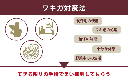 イメージカタログ 最良かつ最も包括的な 彼氏 ワキガ 別れる
