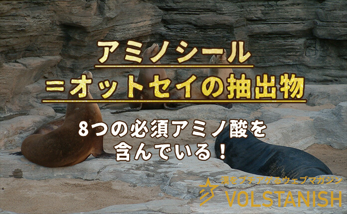 ヴォルスタービヨンドブラストのアミノシールの効果