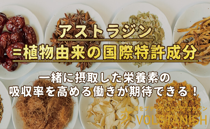 ヴォルスタービヨンドブラストのアストラジンの効果