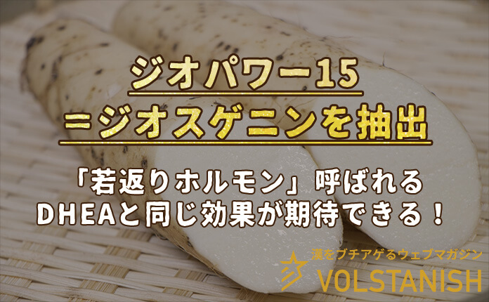 ヴォルスタービヨンドブラストのジオパワー15の効果